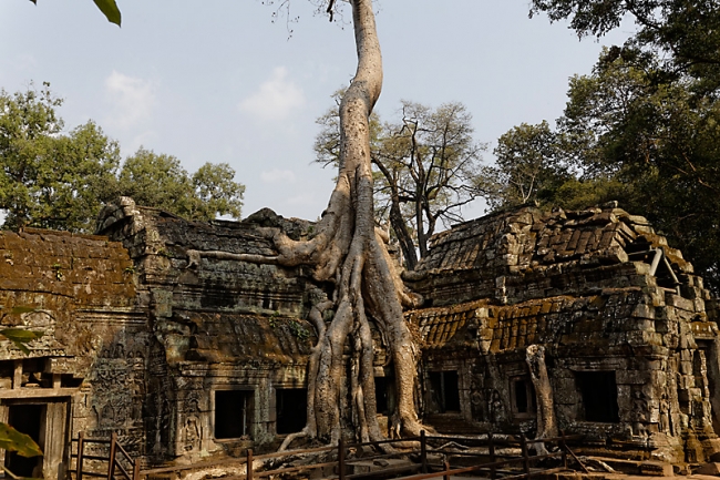 Ta Phrom et environs-058